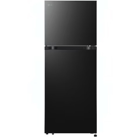 Tủ lạnh LG Inverter 217 lít T21BG | Chính hãng#1